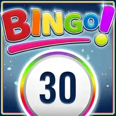 Bingo 30 Ball von Instanet bei Golden Lady Casino